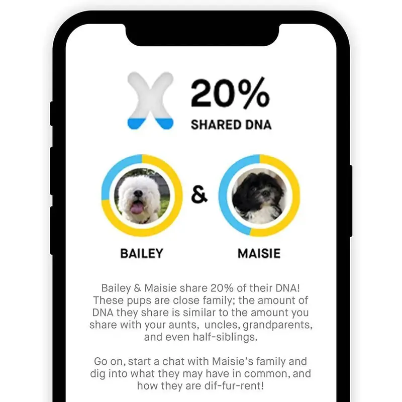 Embark Canine DNA Test — Comprehensive Breed, Ancestry, and Health Analysis Kit