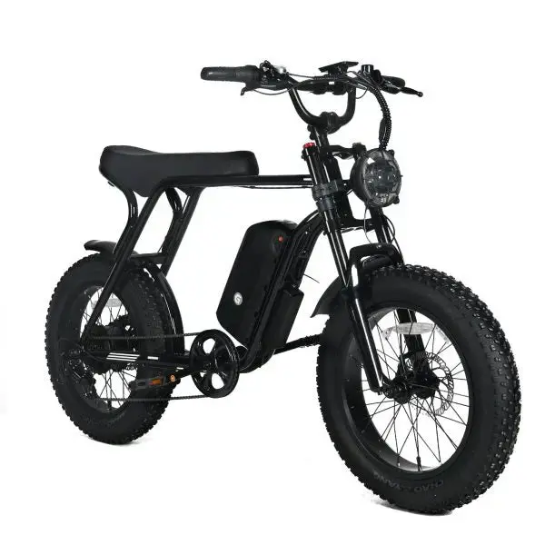 Shi Mano All-Terrain Fat-Tire E-Mountain Bike – 1000W Brushless Motor, 48V 20Ah Long-Range Battery, 45 MPH Top Speed